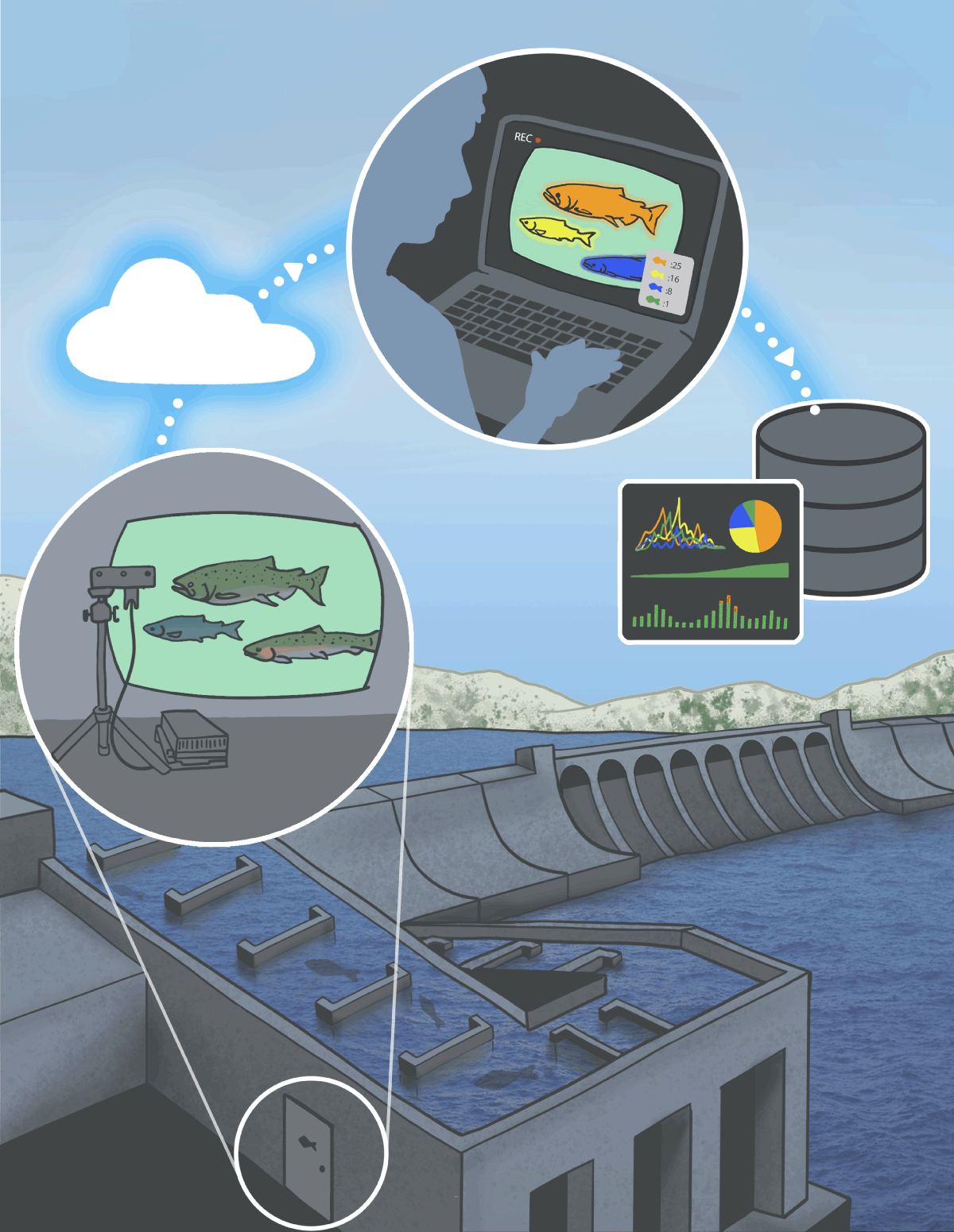 MarineSitu camera system installed at a fish passage facility
