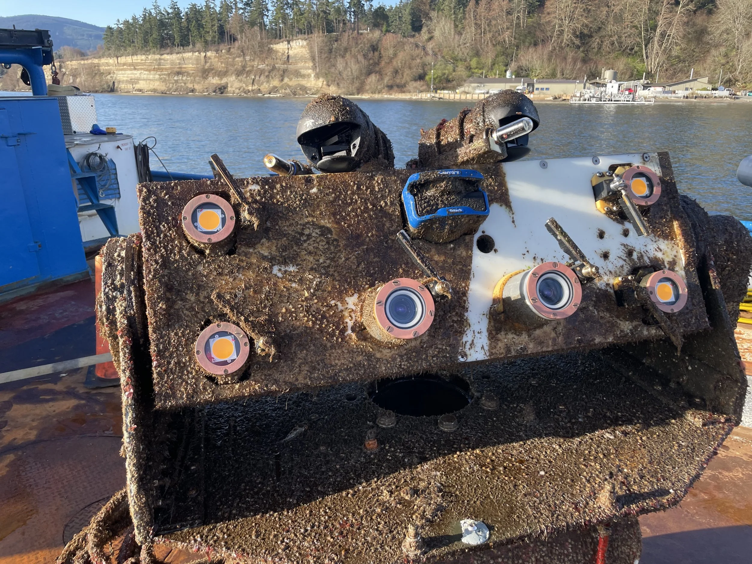 MarineSitu's AMP after recovery from a 141-day marine deployment, with cameras, lights, and imaging sonars remaining clear