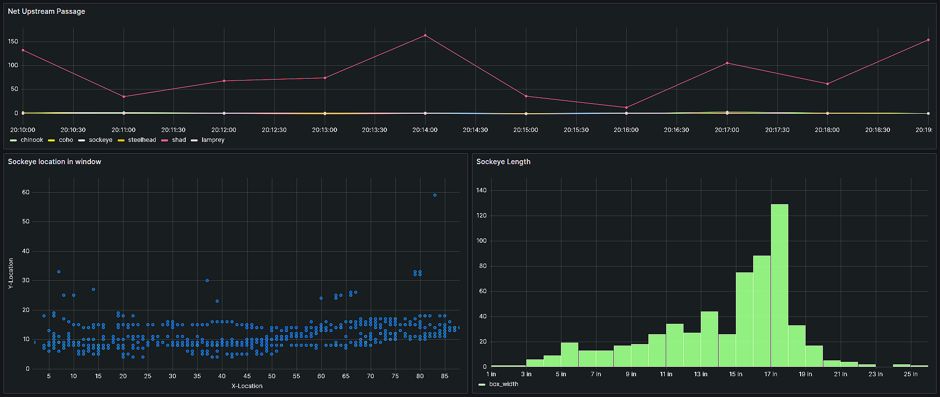 MarineSitu dashboard showing real-time fish passage counts and species classification